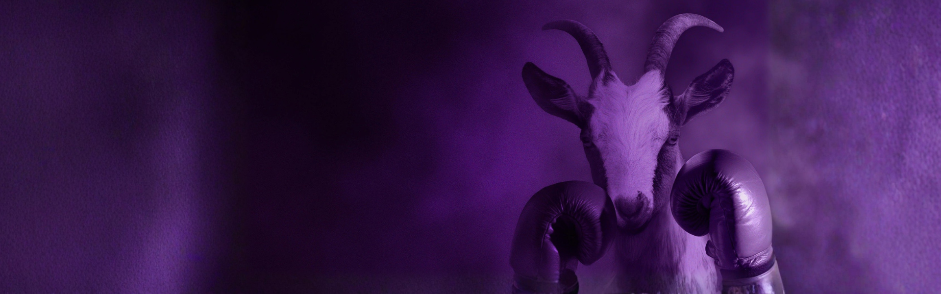 Purple Goat Agency