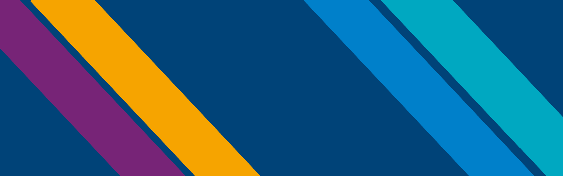 Spinal Injuries Association