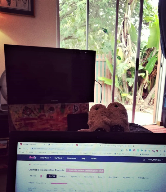 Monique’s view when working from home, with her laptop in the foreground, her feet up and a view out into the garden.